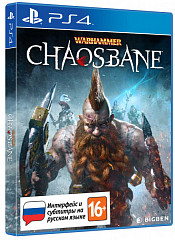 Warhammer: Chaosbane (PS4, ������� ��������)